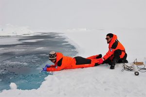 Ocean Acidification in the Arctic