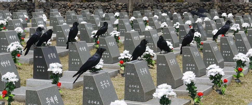 Jeju Island Uprising –  History 2203 – Imagining Disaster