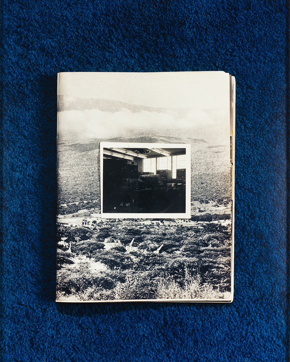 Photograph of a photograph and landscape image from a print publication layered together on a royal blue carpet