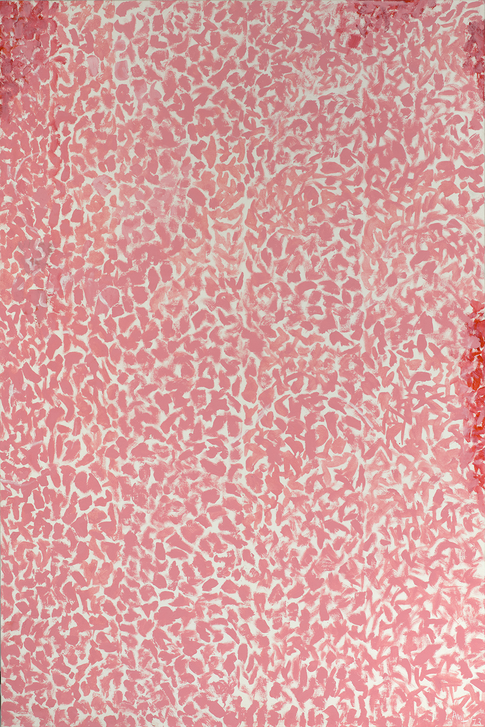 An abstract painting with pink and red splotches densely packed on a white background