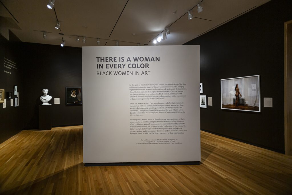 There Is a Woman in Every Color: Black Women in Art - Installation View