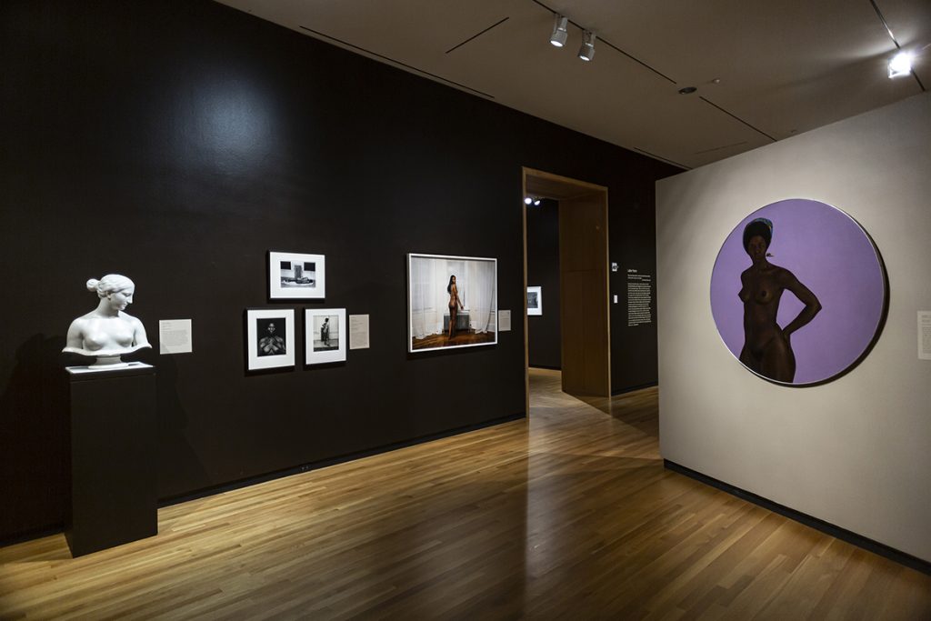 There Is a Woman in Every Color: Black Women in Art - Installation View