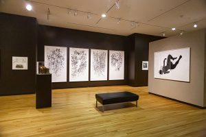There Is a Woman in Every Color: Black Women in Art - Installation View