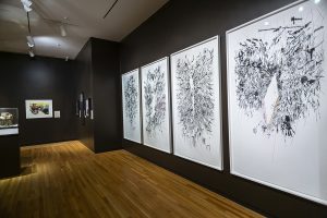 There Is a Woman in Every Color: Black Women in Art - Installation View