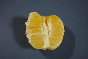 Complementary-Orange