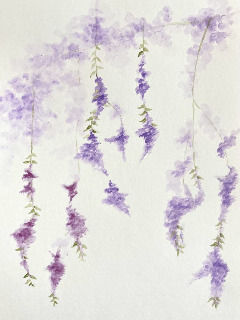 4. Wisteria, water colour on paper, 9 x 12”, 2021